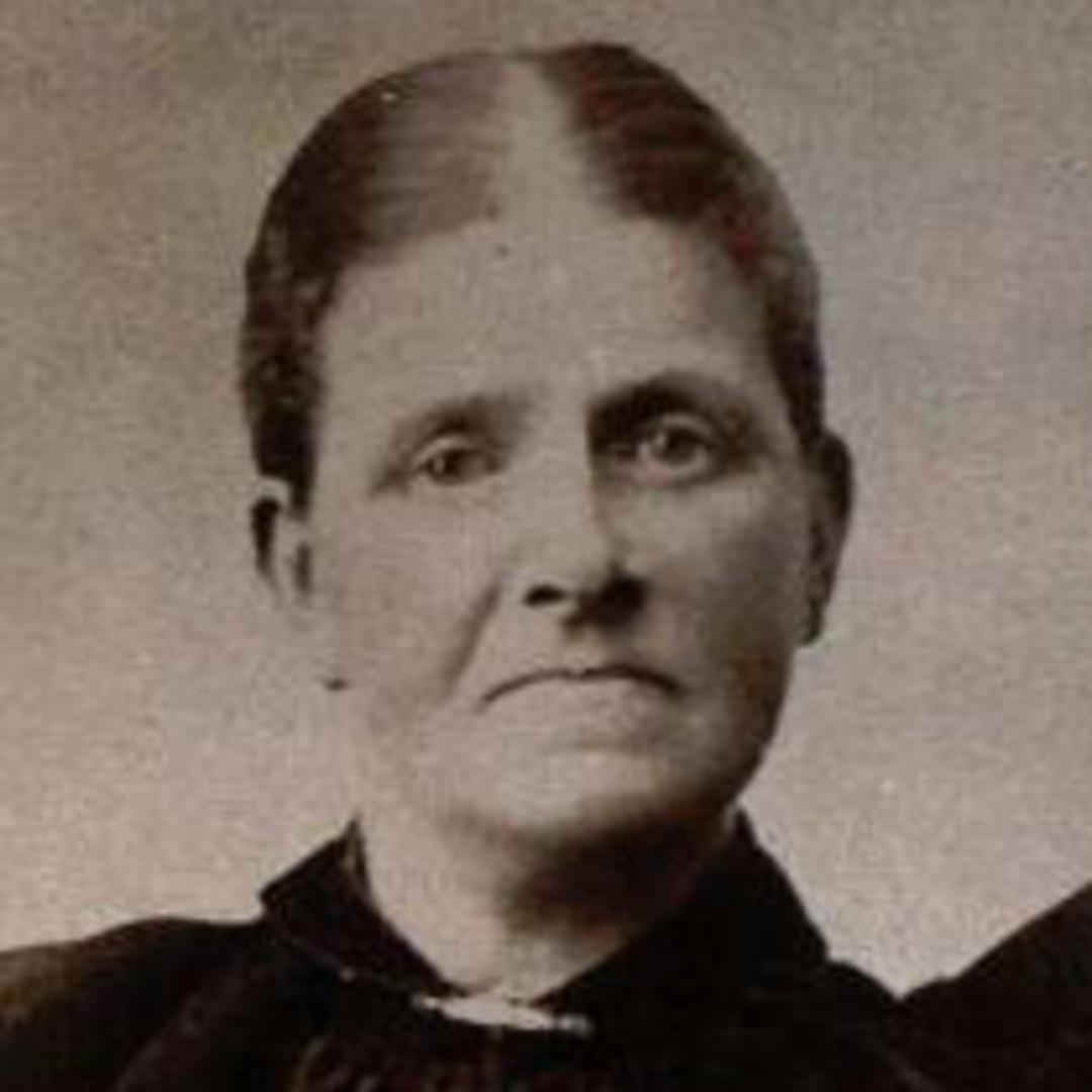 Sophia Swindlehurst (1854 - 1932) Profile